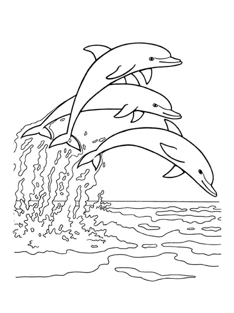 (+30 фото) раскраска дельфинчик распечатать бесплатно онлайн