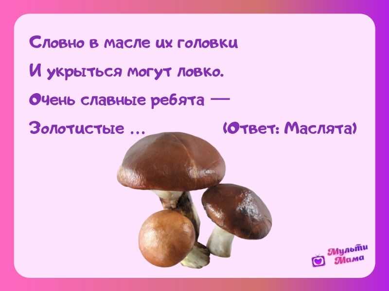 Загадки про грибы для детей