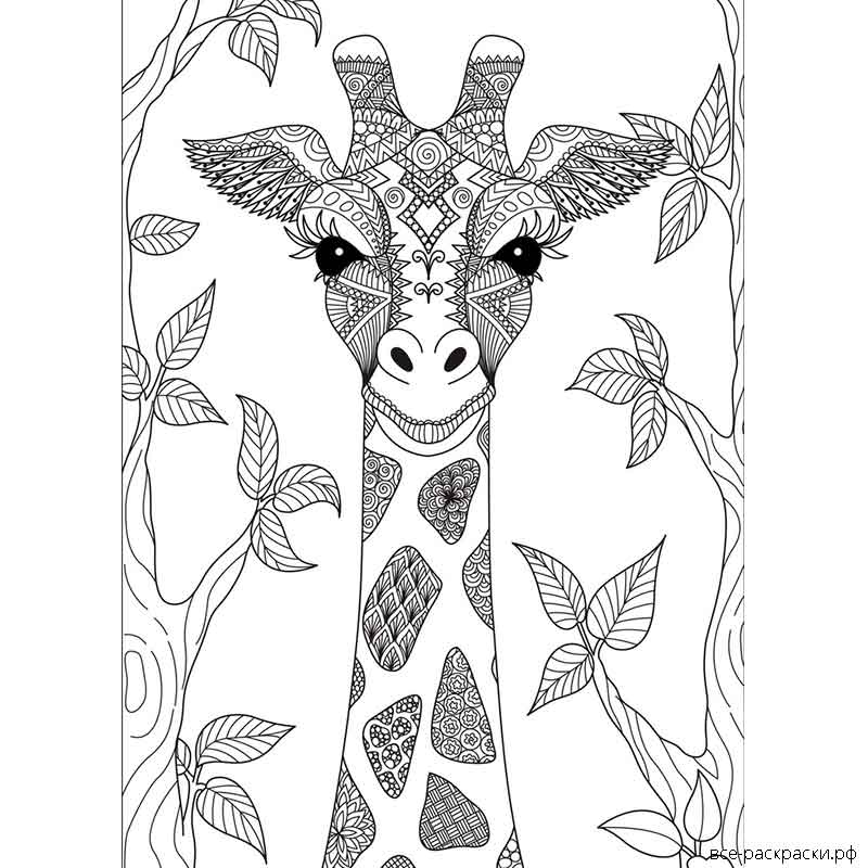 Раскраски Жираф Антистресс – страница, собравшая разнообразные изображения удивительного африканского животного Выберите понравившиеся раскраски Жирафа Антистресс для взрослых и бесплатно распечатайте их в формате А4