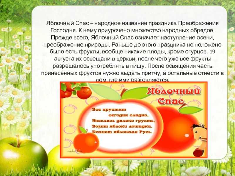 Праздник яблочный спас — обряды и традиции славян