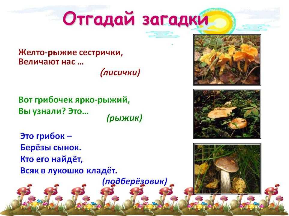 Загадки про грибы: 95 загадок про грибы с отгадками для детей и взрослых Развивающие задания с загадками про грибы
