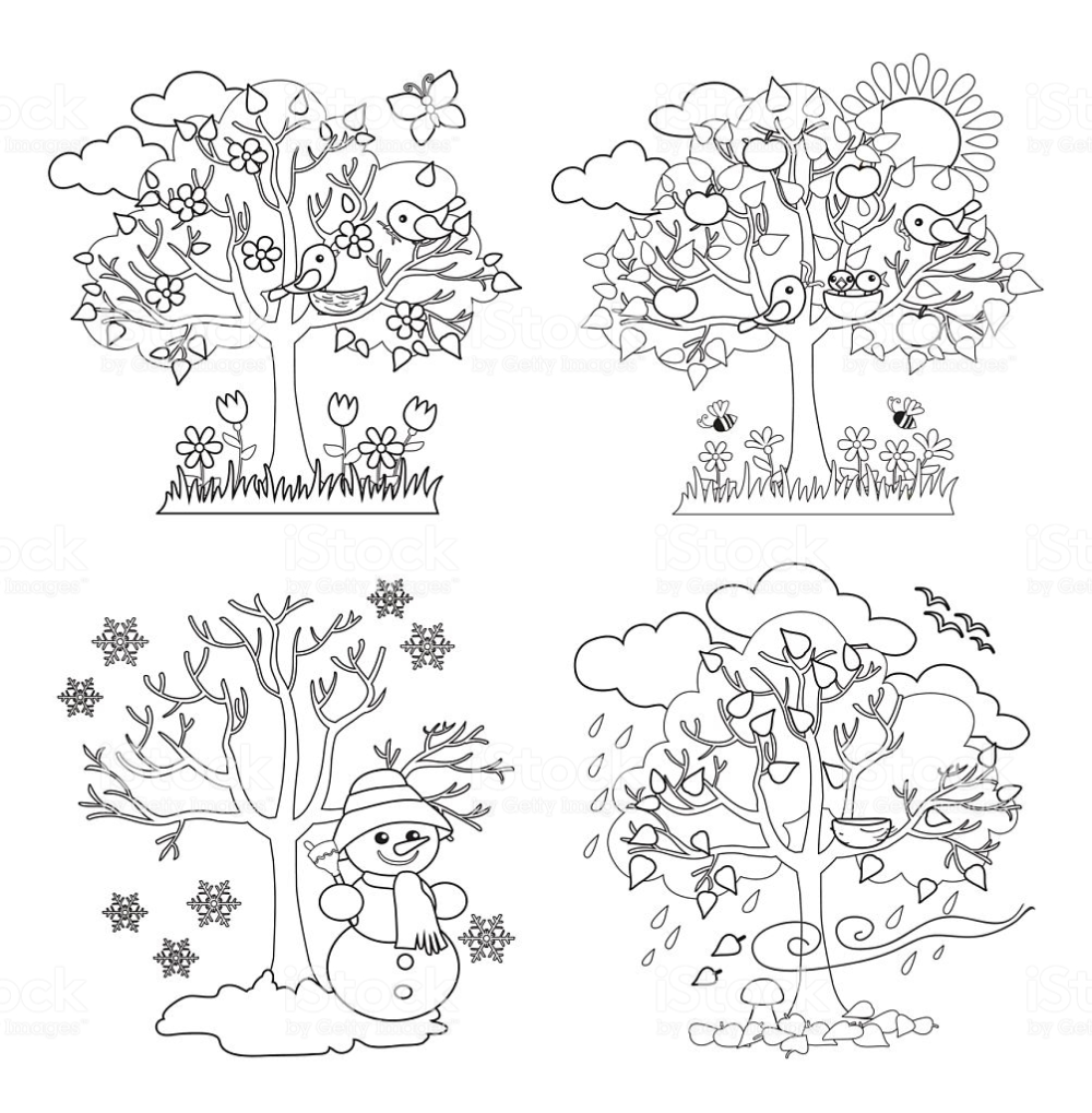 Деревья: картинки, сказки, развивающие задания для детей дошкольного возраста