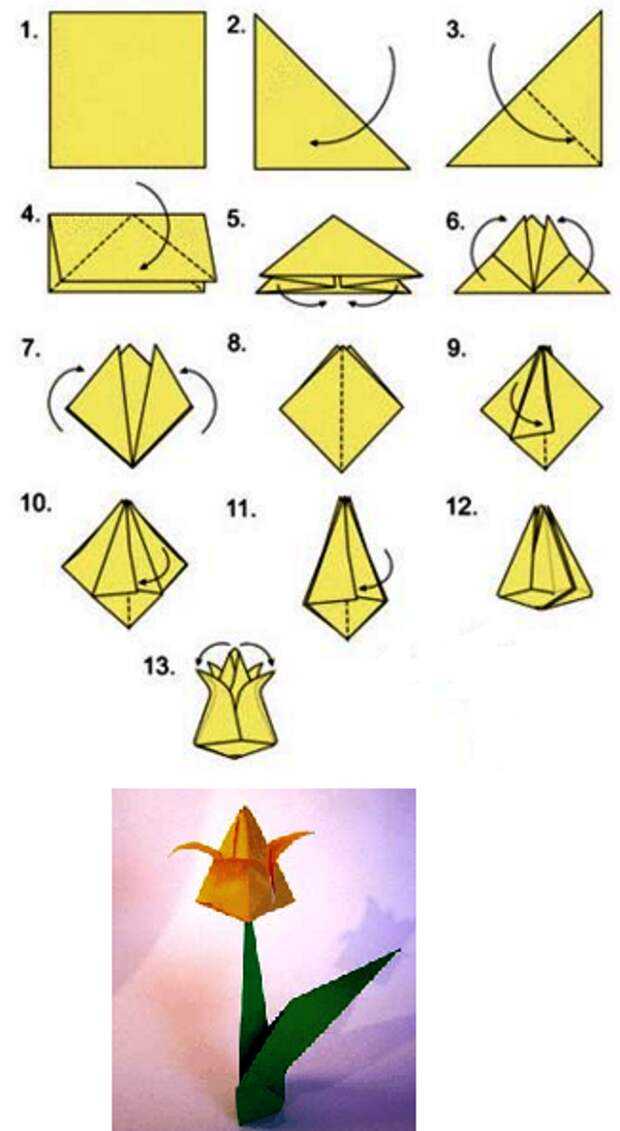 Уроки оригами для начинающих: видео схемы для создания поделок из бумаги - все курсы онлайн
