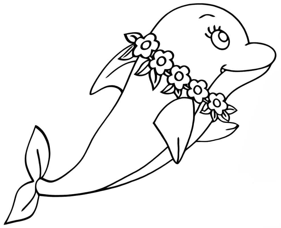 Раскраски дельфин. лучшие картинки для детей скачивайте и распечатывайте