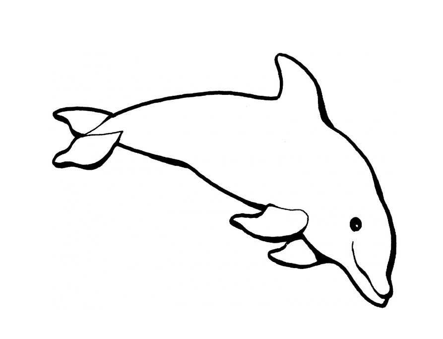 (+30 фото) раскраска дельфинчик