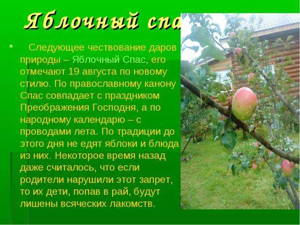 Яблочный спас на руси: обычаи, традиции и приметы