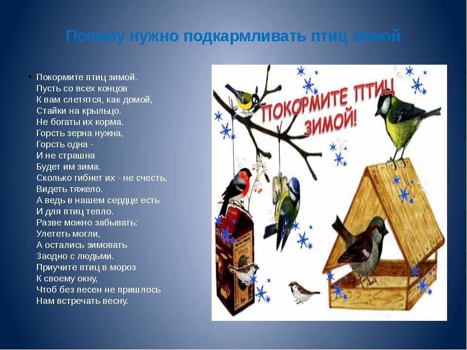 Зимующие птицы. названия, описания и особенности зимующих птиц