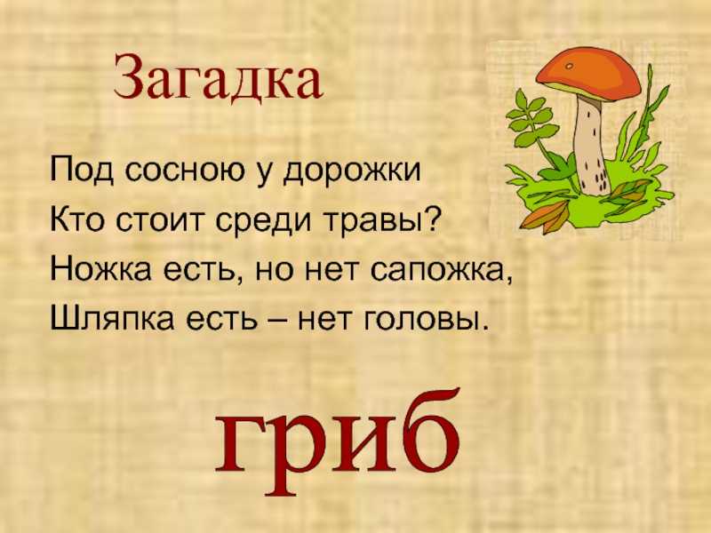 100 лучших загадки про грибы для детей с ответами, для дошкольников и учеников 5-6 классов / mama66.ru