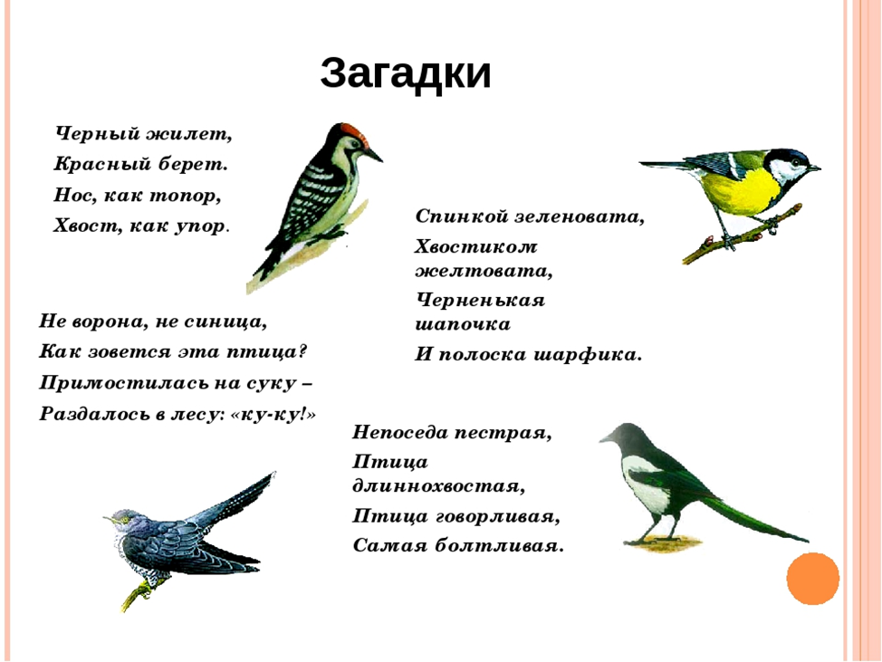 Загадки про птиц детям в стихах Веселые загадки про пернатых с ответами