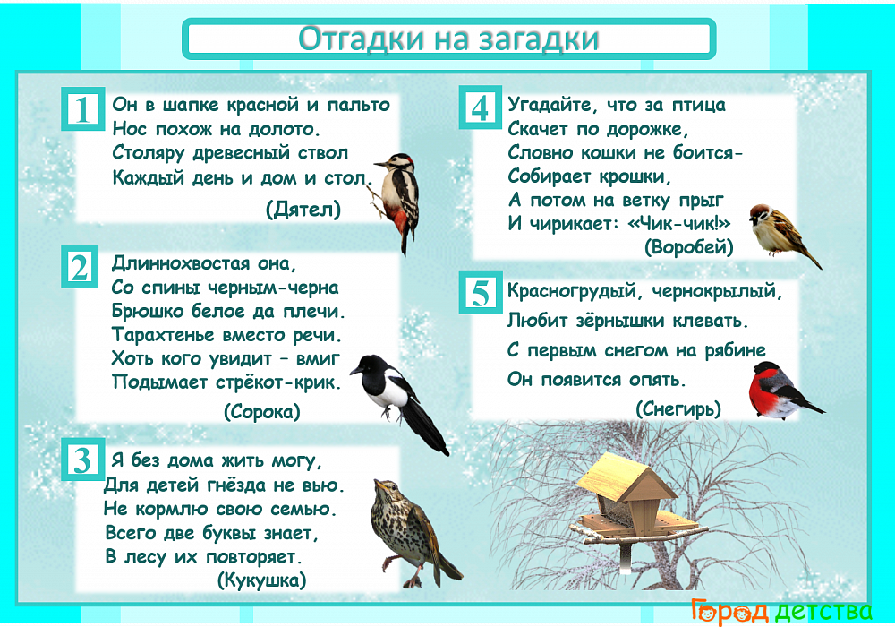 Зимующие птицы. названия, описания и особенности зимующих птиц