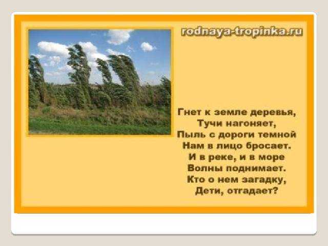Стихи про ветер | antrio.ru