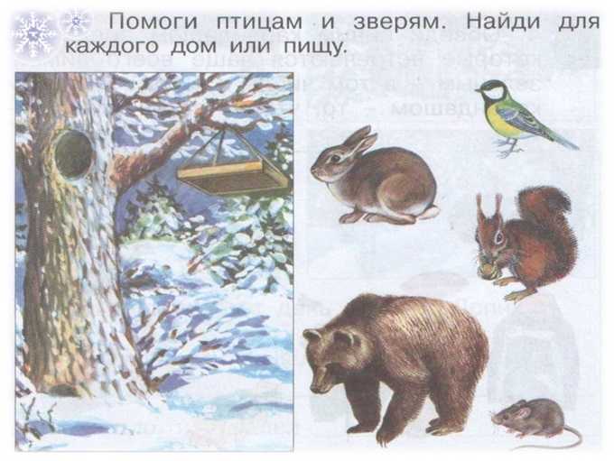 Как разные животные готовятся к зиме