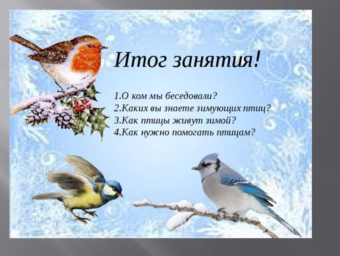 Зимующие птицы: стихи, раскраски, кроссворд