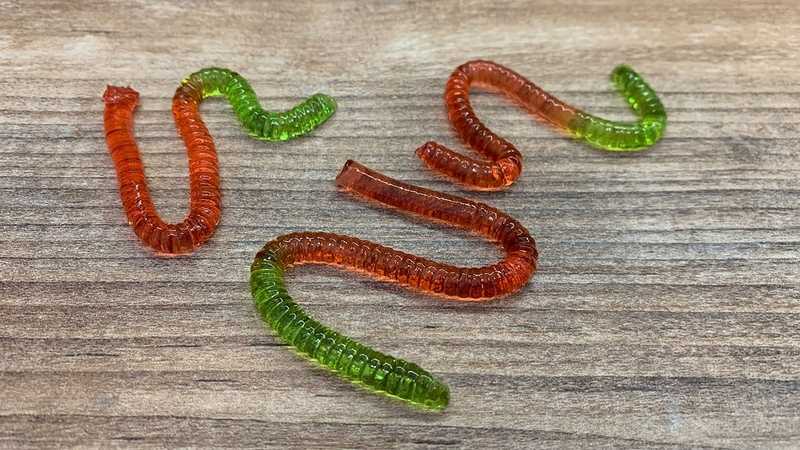 Форма для желейных конфет червячки. как сделать червяков из желе и трубочек на хэллоуин