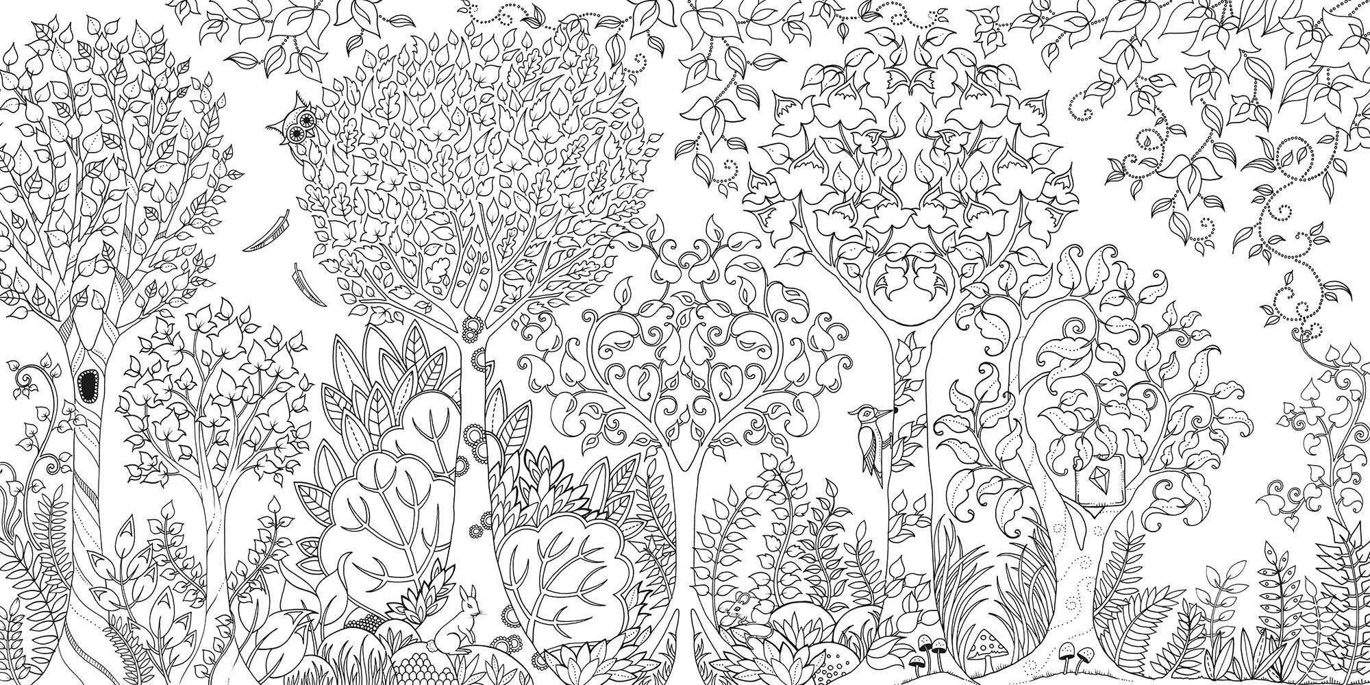 Раскраски взрослые антистресс волшебный сад, зачарованный лес, скачать бесплатно, раскраски арт-терапия для взрослых распечатать / coloring as art therapy