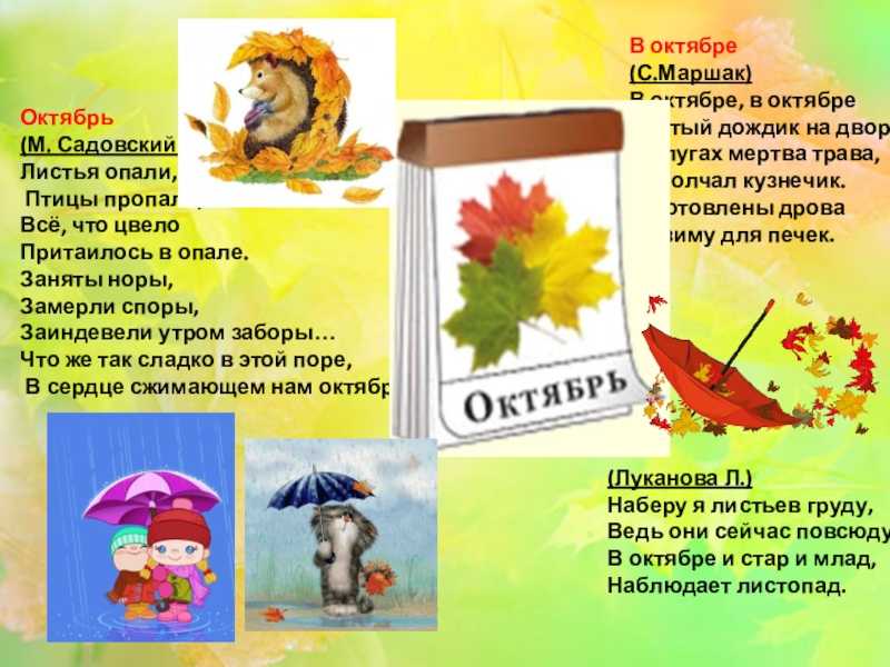 Стихи про осень. подборка коротких и красивых стишков для детского сада