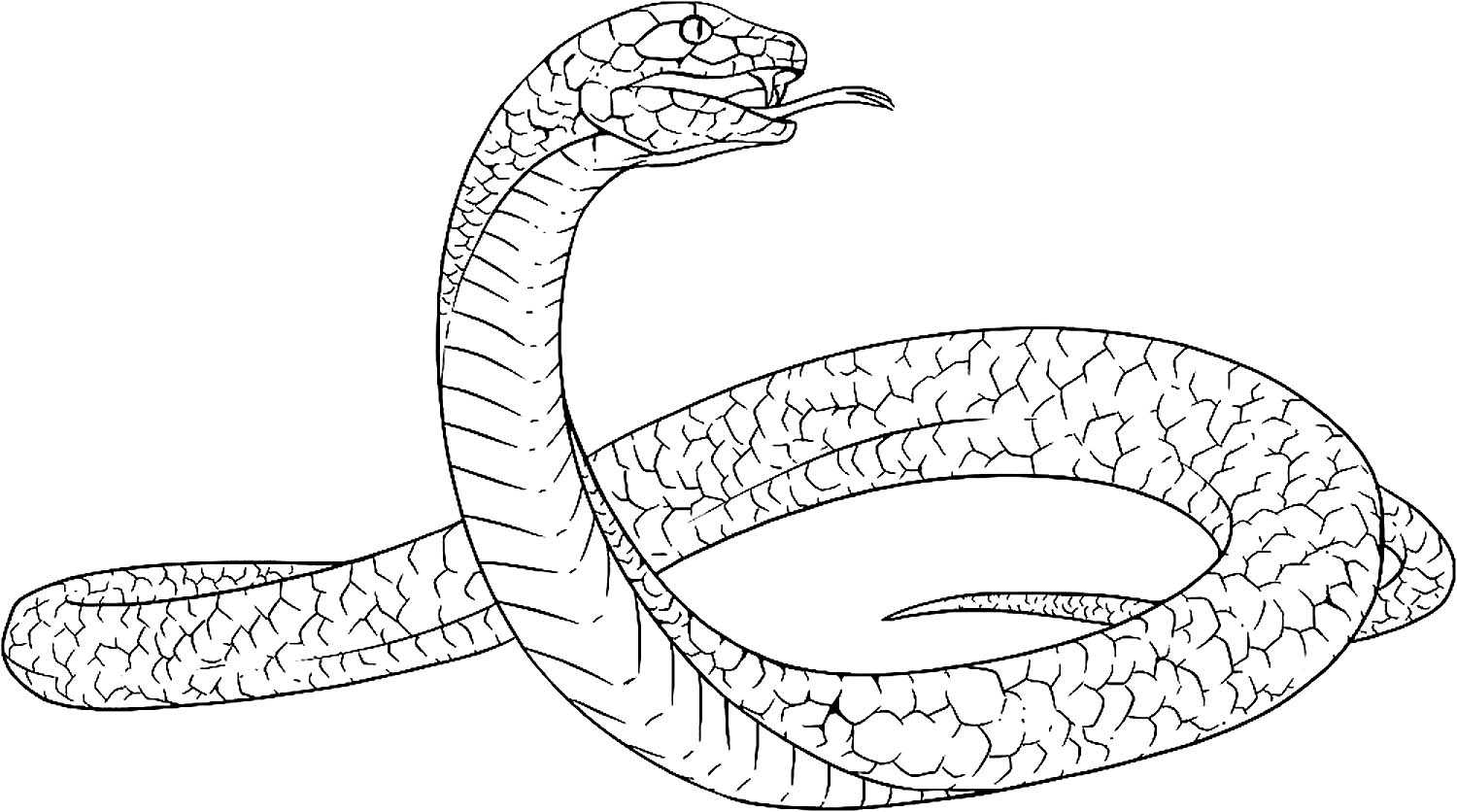 Раскраски Змеи Антистресс – подборка черно-белых изображений удивительных представителей мира фауны Скачайте или распечатайте раскраски Змеи Антистресс для взрослых, которые мы предлагаем вам совершенно бесплатно