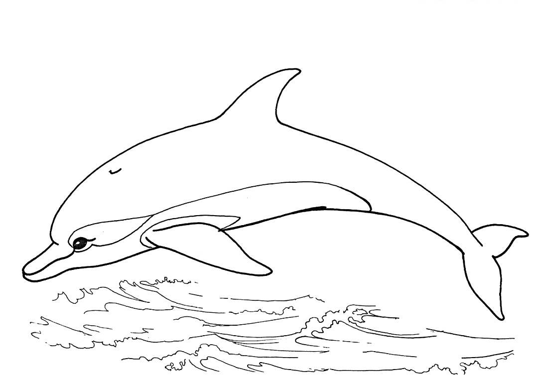 Раскраски Дельфин Антистресс – черно-белые картинки с милейшими морскими созданиями Выберите понравившиеся раскраски Дельфина Антистресс и бесплатно распечатайте их в формате А4