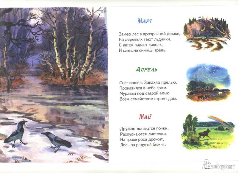 Описание природы весной в лесу. описание весны в художественном стиле